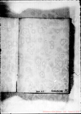 Fotogramma B 7