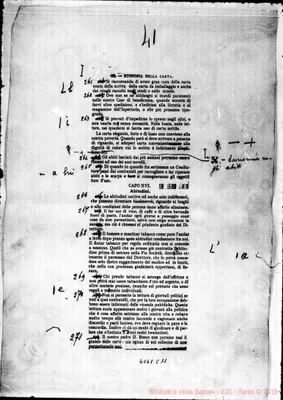 Fotogramma C 11