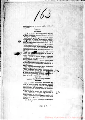 Fotogramma D 1