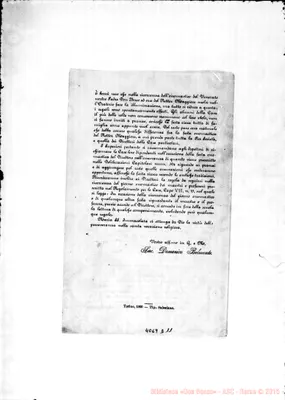 Fotogramma D 11