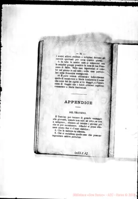 Fotogramma C 12