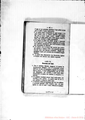 Fotogramma D 11
