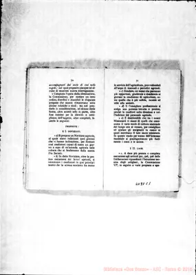 Fotogramma C 1