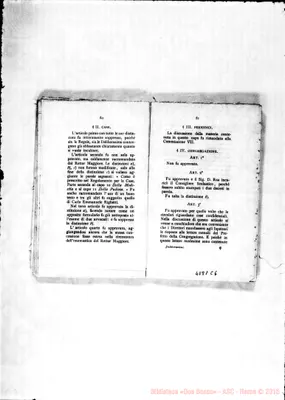 Fotogramma C 6