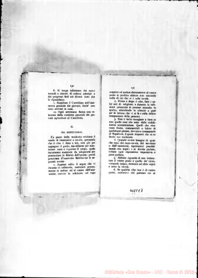 Fotogramma E 7
