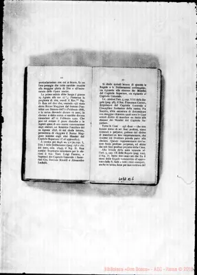 Fotogramma B 5