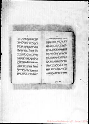 Fotogramma C 1