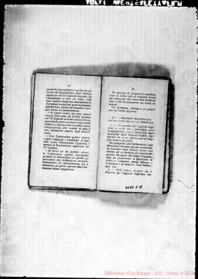 Fotogramma C 11