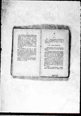 Fotogramma D 7
