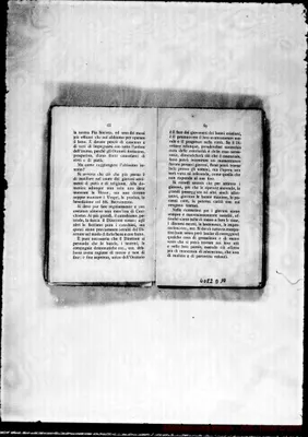 Fotogramma D 10