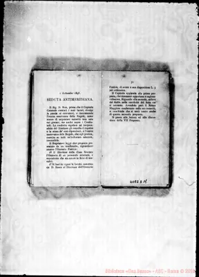 Fotogramma D 11