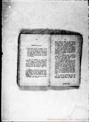 Fotogramma B 1