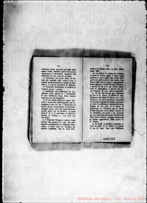 Fotogramma B 2