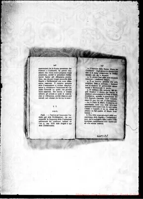 Fotogramma C 1