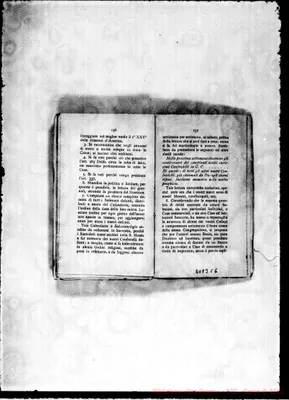 Fotogramma C 6