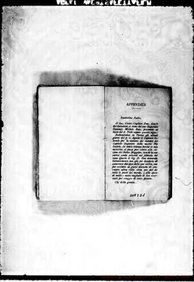 Fotogramma D 1