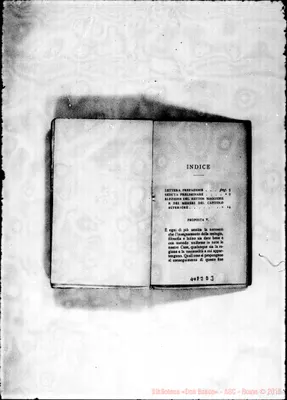 Fotogramma D 3