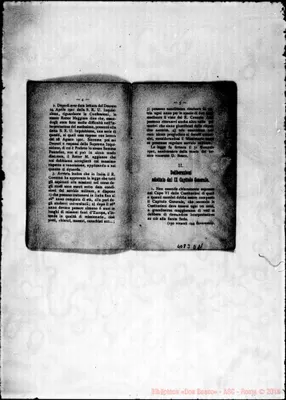 Fotogramma D 11