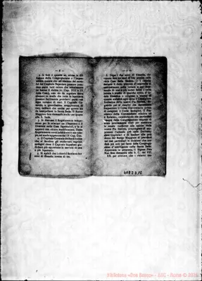 Fotogramma D 12