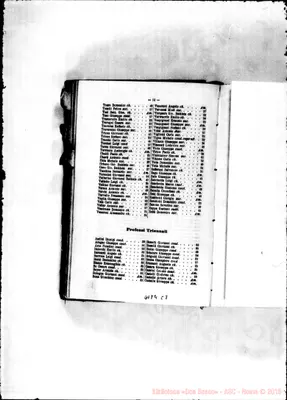 Fotogramma C 7