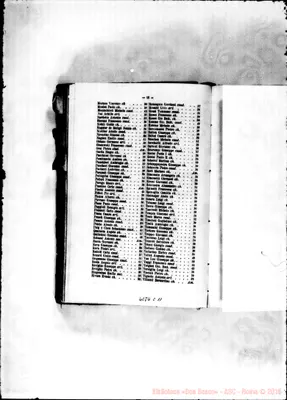 Fotogramma C 11