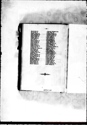Fotogramma D 11