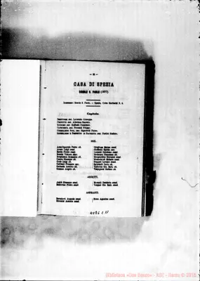 Fotogramma C 11