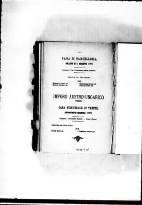 Fotogramma C 11