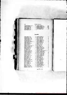 Fotogramma C 7