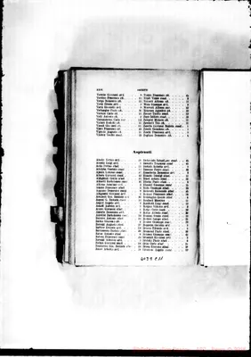 Fotogramma C 11