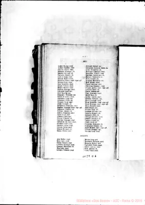 Fotogramma D 6