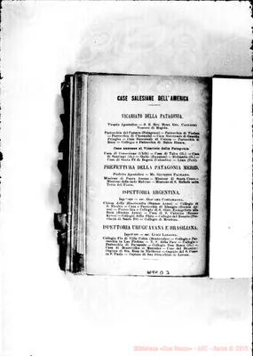 Fotogramma D 3