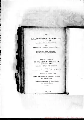 Fotogramma E 8