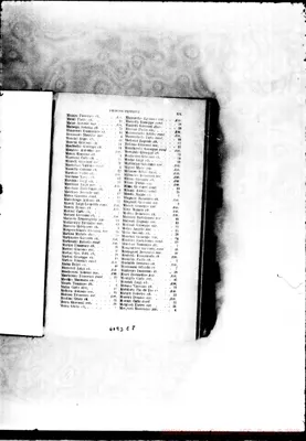 Fotogramma E 8