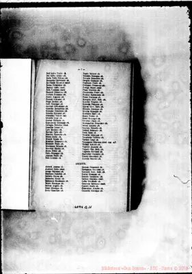 Fotogramma B 11