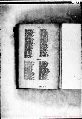 Fotogramma B 12