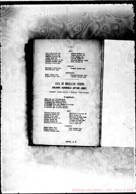 Fotogramma D 2
