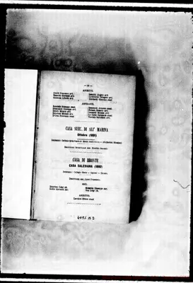 Fotogramma B 3