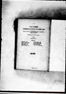 Fotogramma B 8