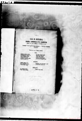 Fotogramma C 3