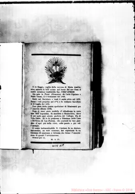 Fotogramma B 8