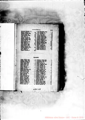 Fotogramma D 11