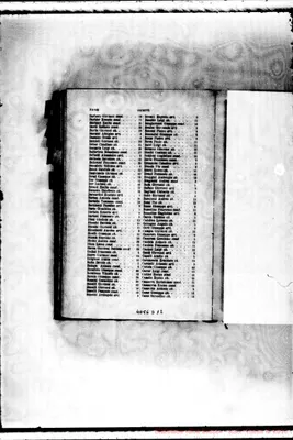 Fotogramma D 12