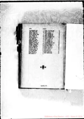 Fotogramma E 6