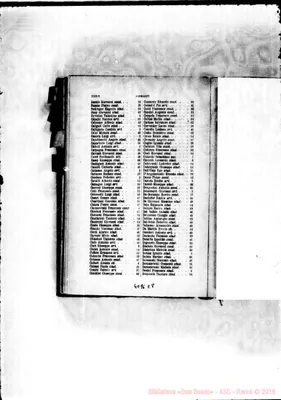 Fotogramma E 8