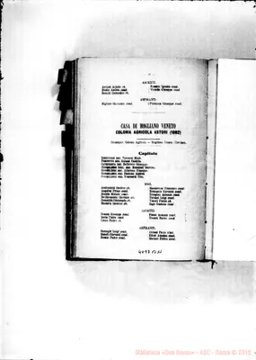 Fotogramma B 11