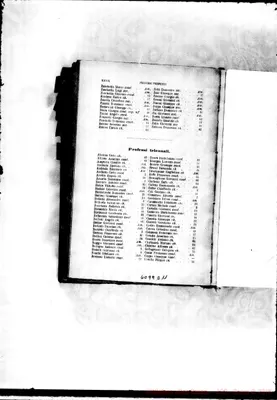 Fotogramma D 11