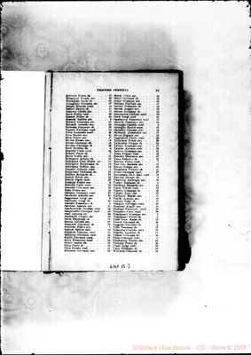 Fotogramma B 3