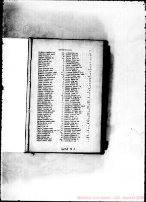 Fotogramma B 3