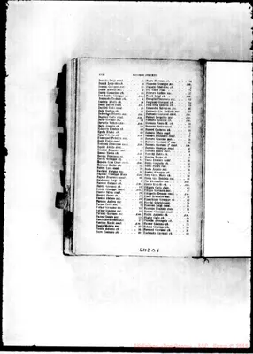 Fotogramma B 6